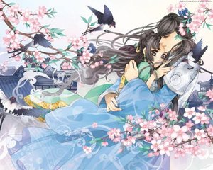 本站永久域名